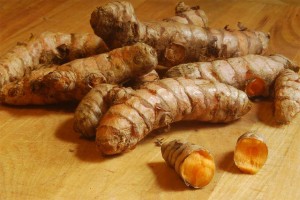 fresh turmeric root by h-bomb